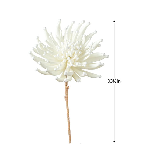 Desert Zinnia Burst 33.5L" Stem - White