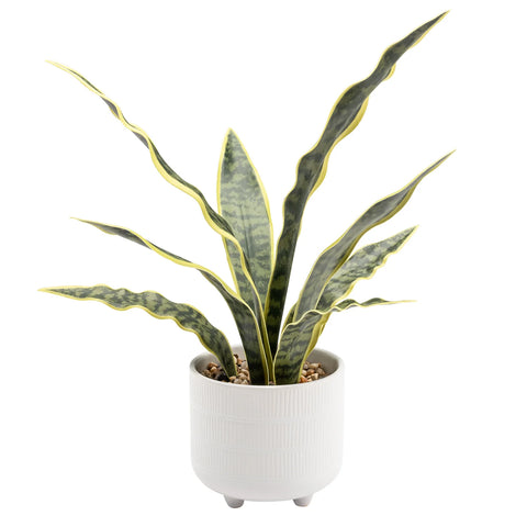 Riviera Ceramic Potted Faux 16h" Snake Plant