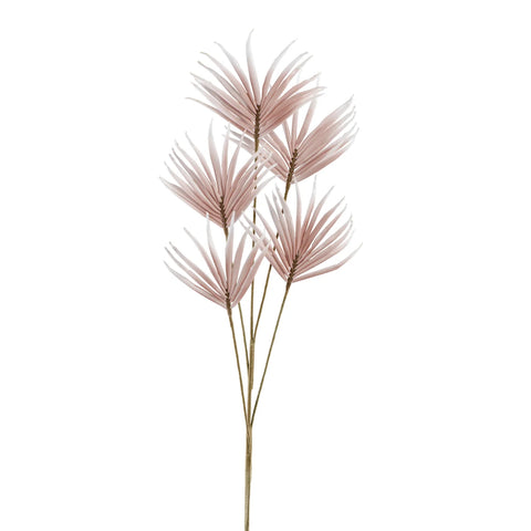 Desert Five Bloom Fan Flower 43" Stem - Pink