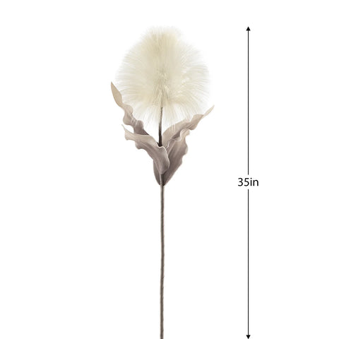 Desert Blooming Feather Pod 35" Stem - Cream