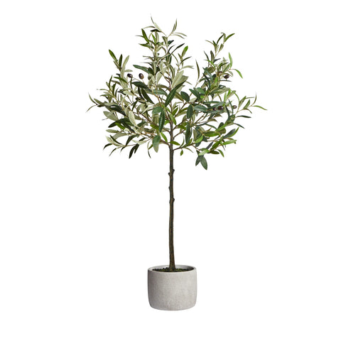 Olive Tree 37h" Cement Potted Faux Plant