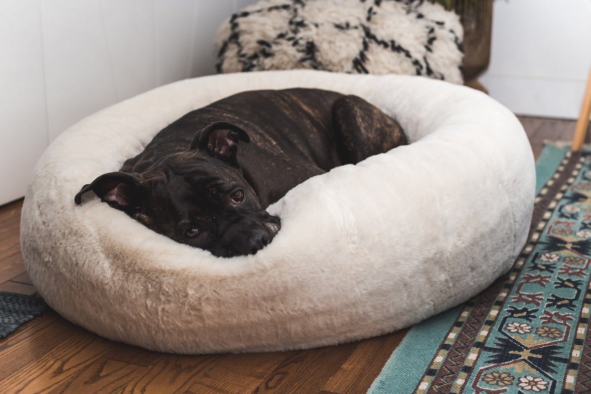 Pet Beds