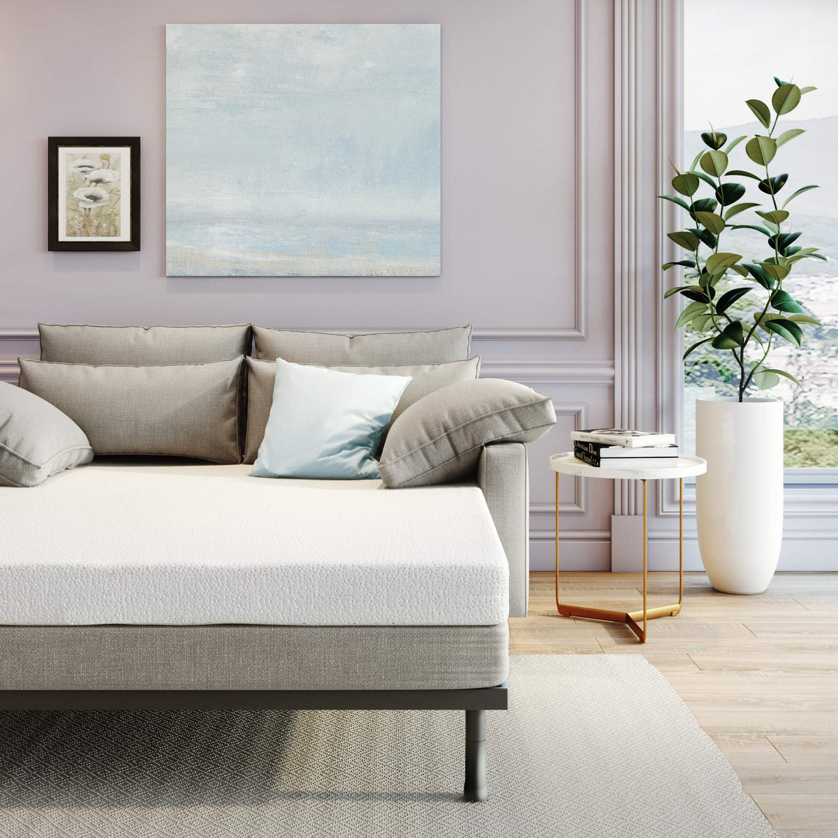 Sofa Beds