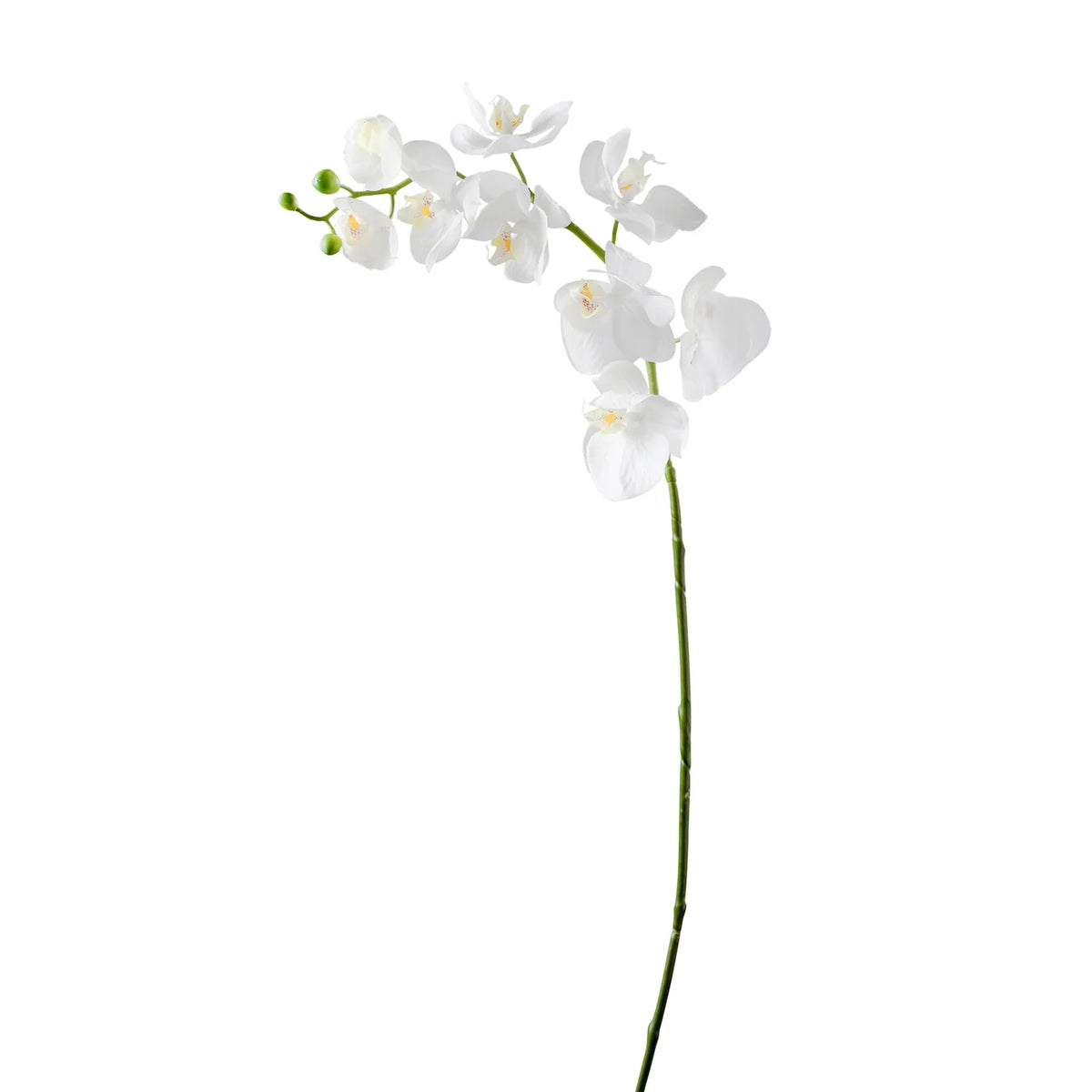 Orchid Faux Single Stem 30