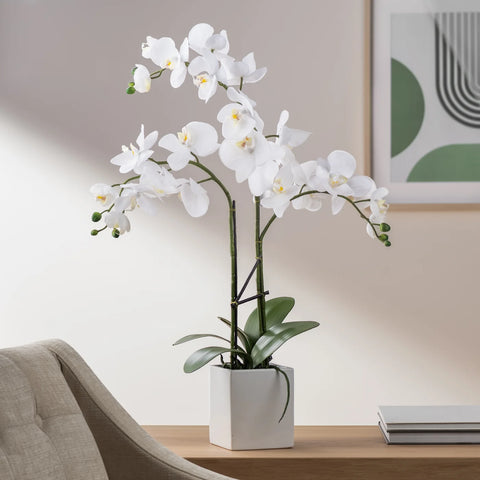 Orchid Potted Faux Triple Stem 23" - White
