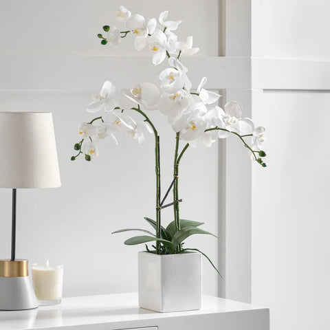 Orchid Potted Faux Triple Stem 23" - White