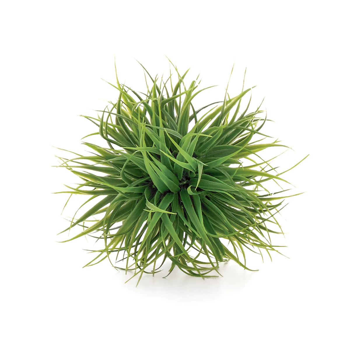 Grass Ball 4