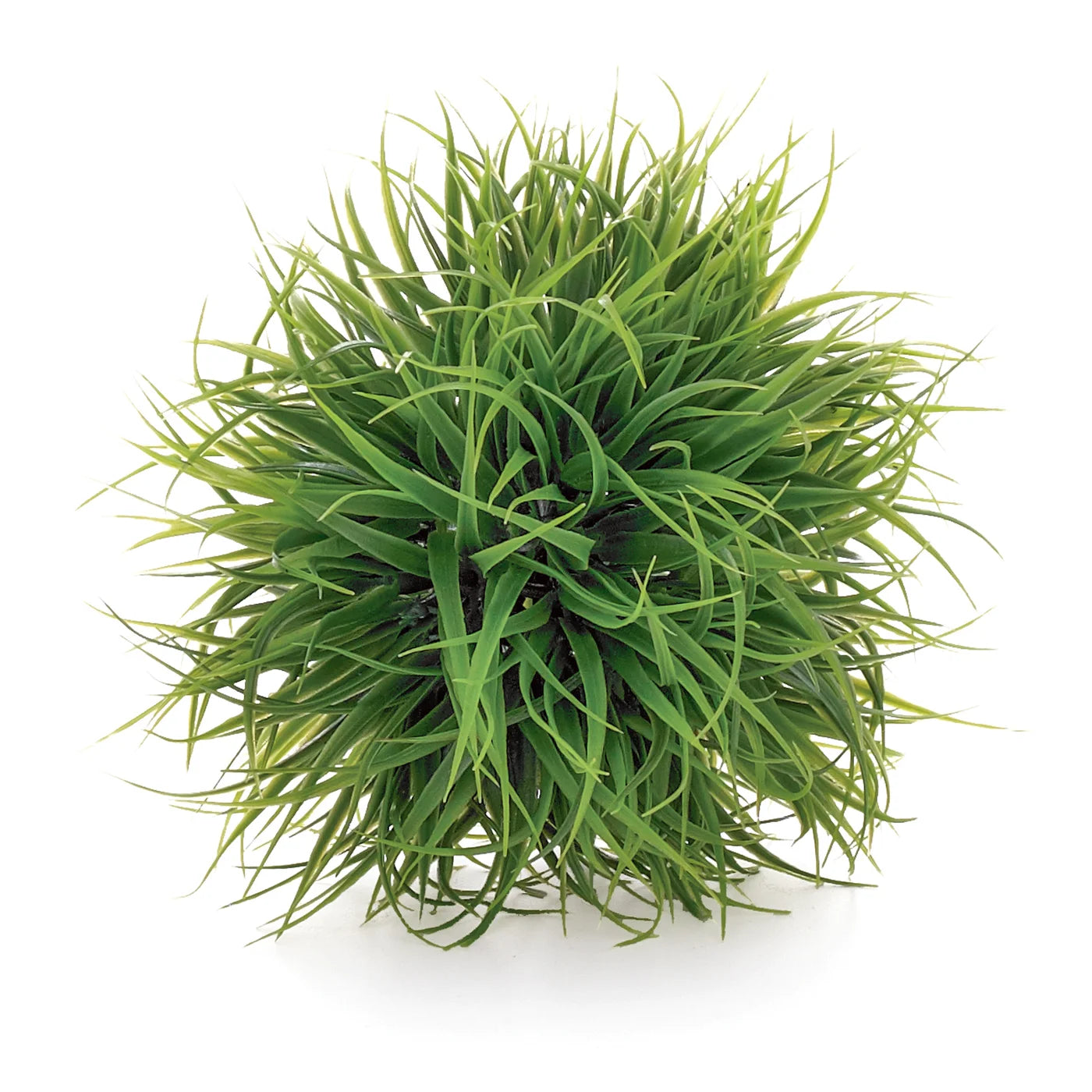 Grass Ball 5