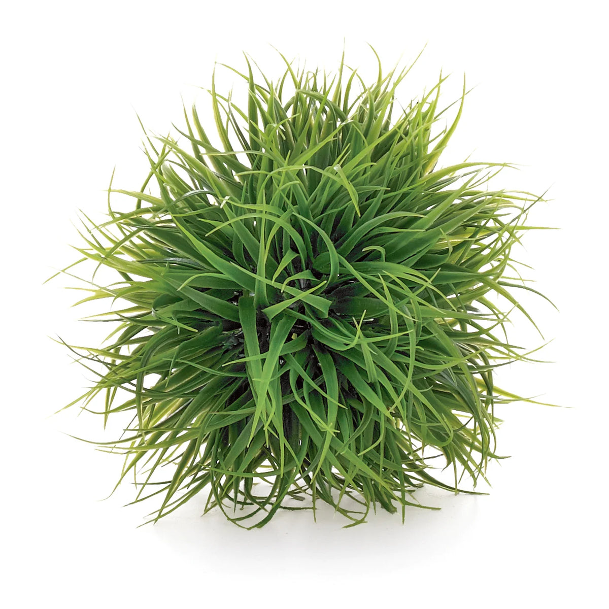 Grass Ball 5