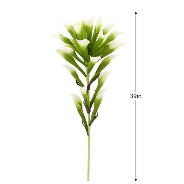 Desert Lily Stem - Green/White