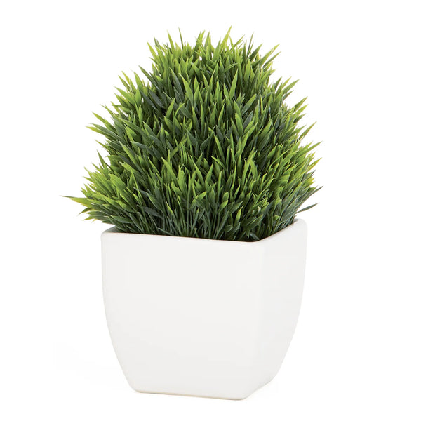 Tapered Ceramic 6.75h