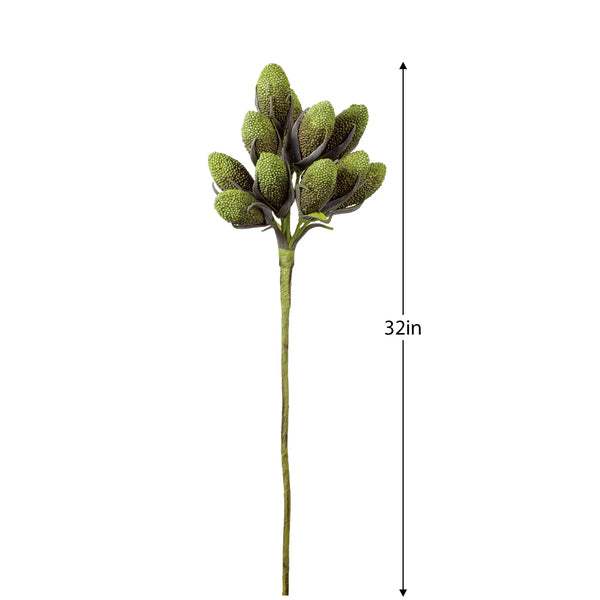 Desert Rind Pods 32L" Stem