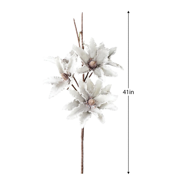 Desert Star Aster 41L