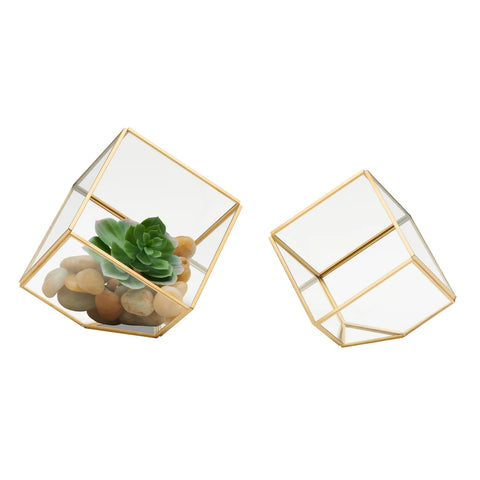 Oro Cube 2 Piece Glass Terrarium Set