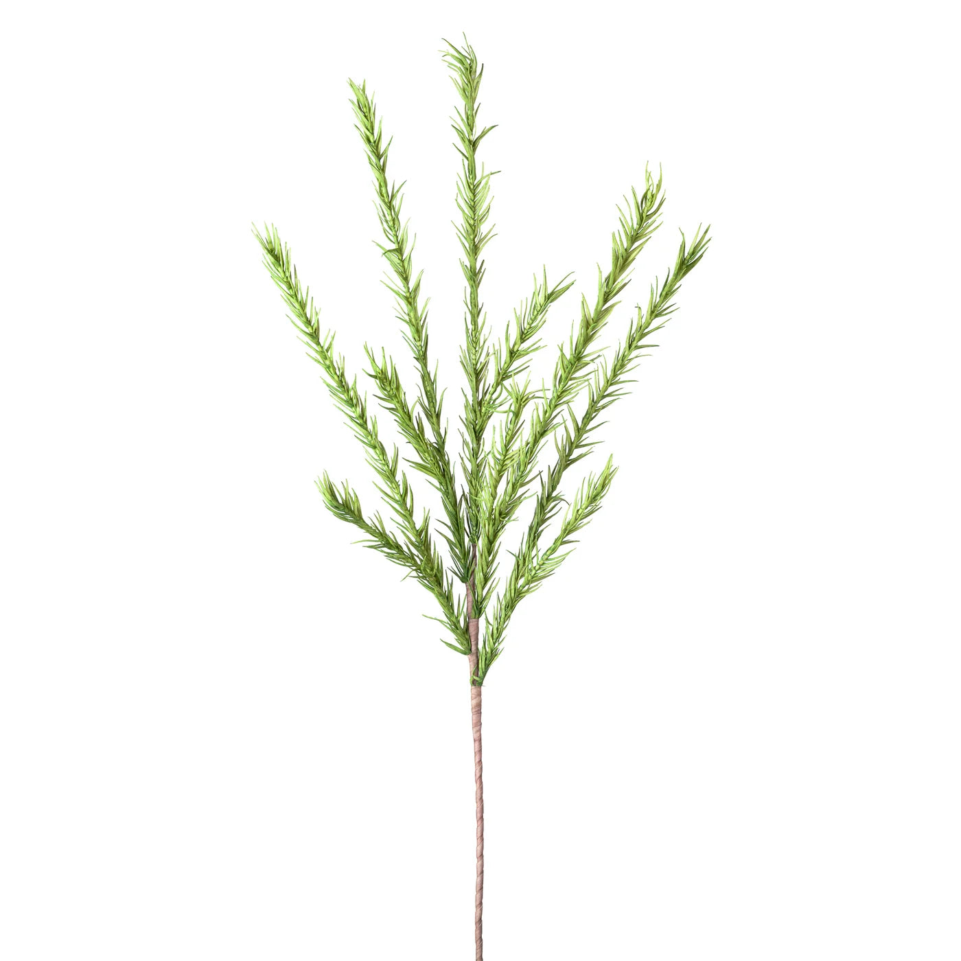 Desert Pine 45L