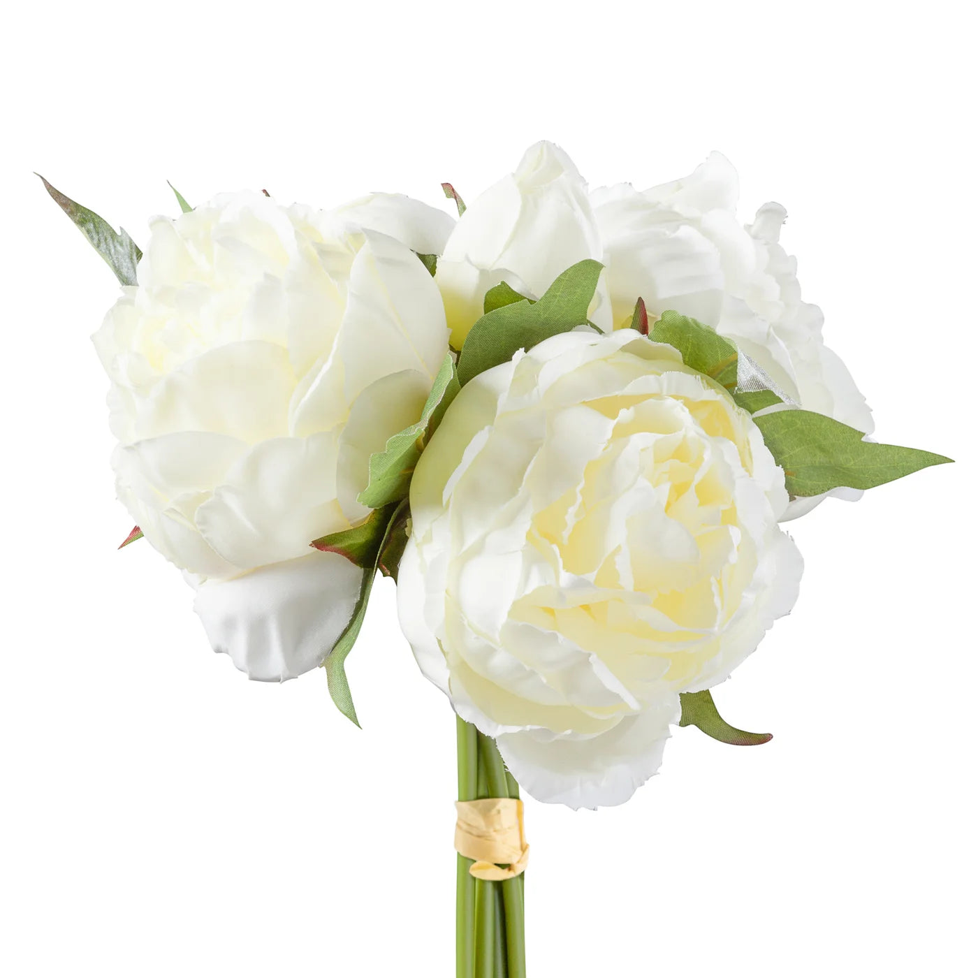 Blushing Peony 5 Bloom Bouquet - Creme