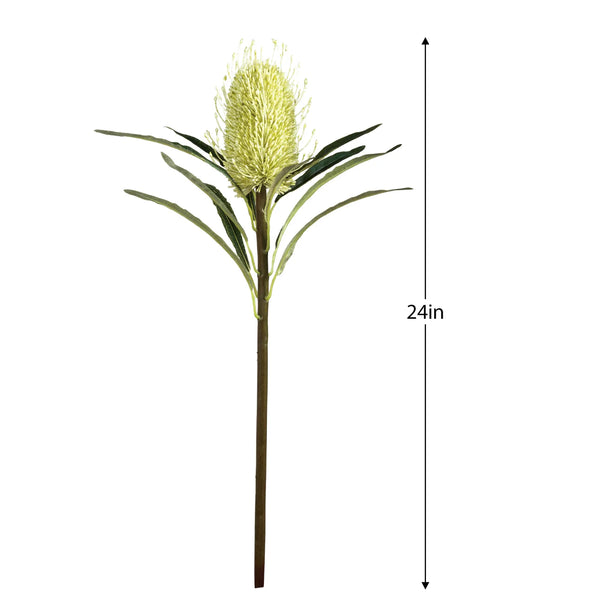 Protea Bloom 24" Stem