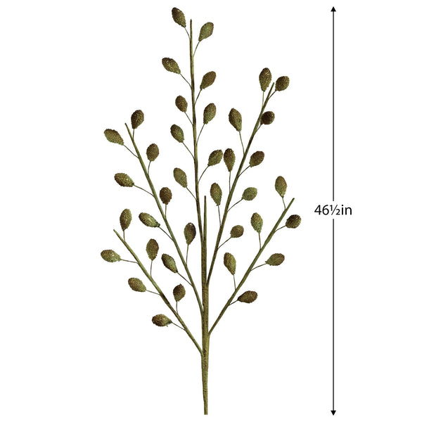 Desert Multi Rind Pod 46.5