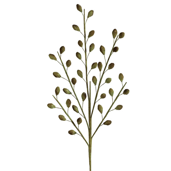 Desert Multi Rind Pod 46.5