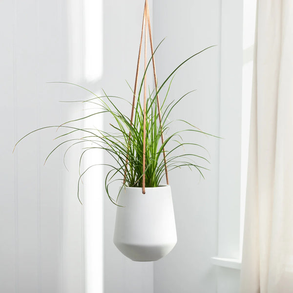 Ashbury Leather Hanging 5.75" Diameter White Ceramic Drop Pot Planter