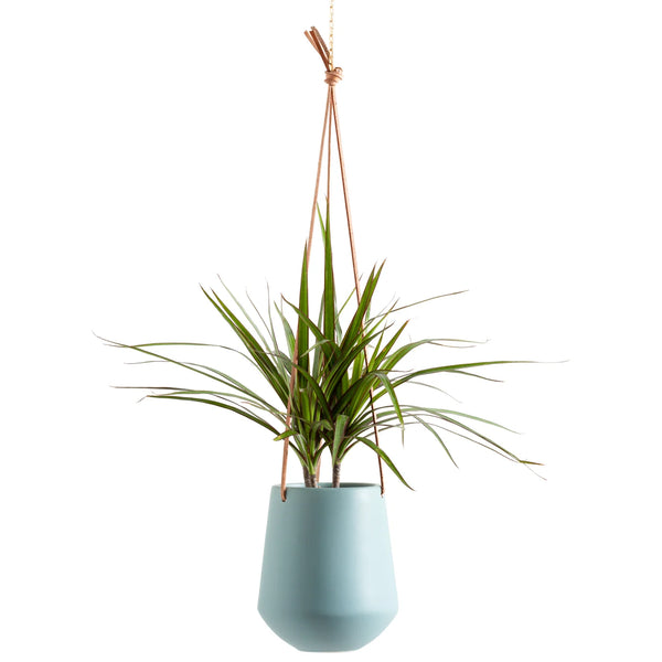 Ashbury Leather Hanging 5.75