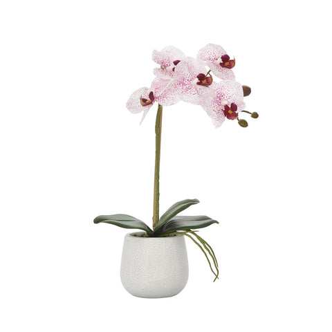 Phalaenopsis Potted 15" Faux Single Stem Orchid - Pink
