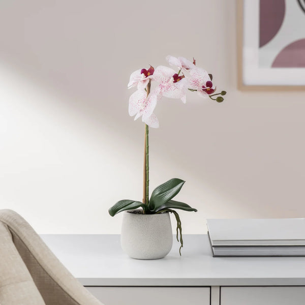 Phalaenopsis Potted 15" Faux Single Stem Orchid - Pink
