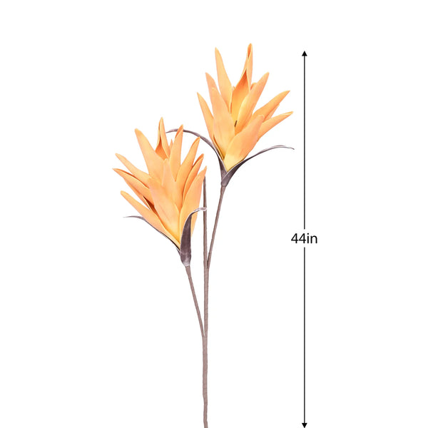 Desert Tropic 2 Bloom Paradise 44L