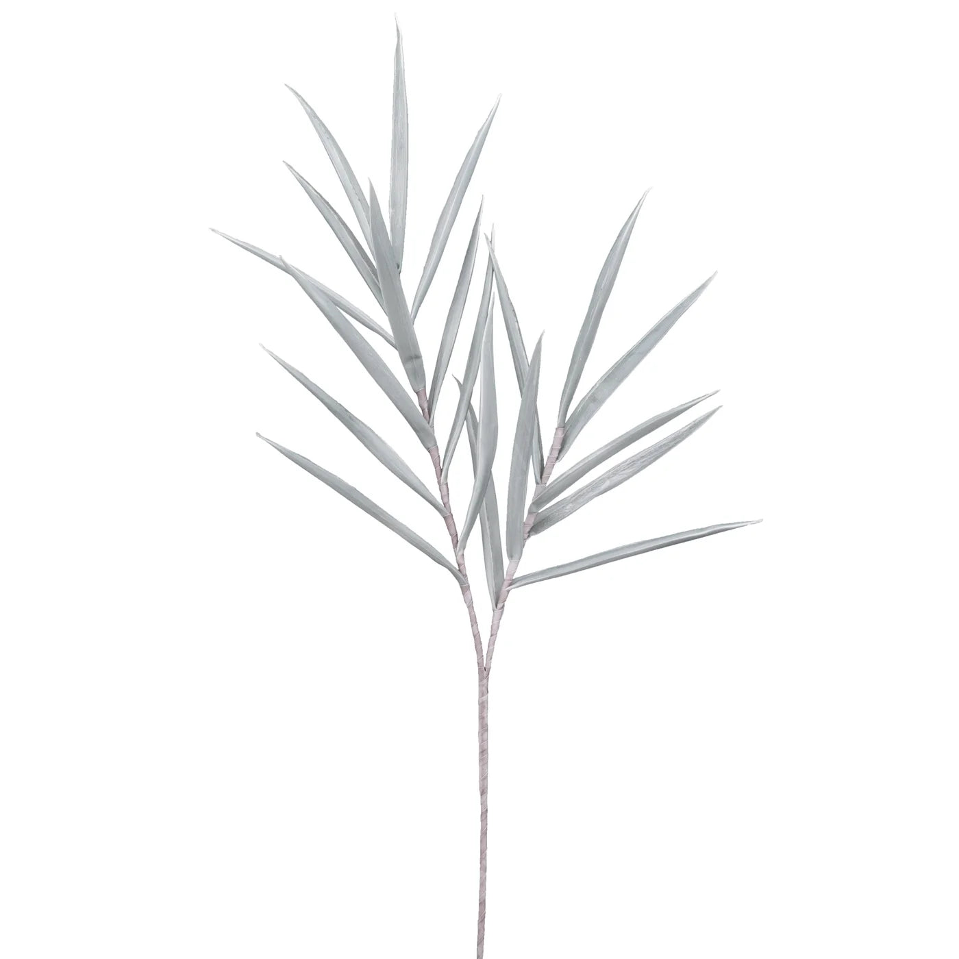 Desert Tropic Spike Grass 48L