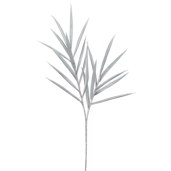 Desert Tropic Spike Grass 48L