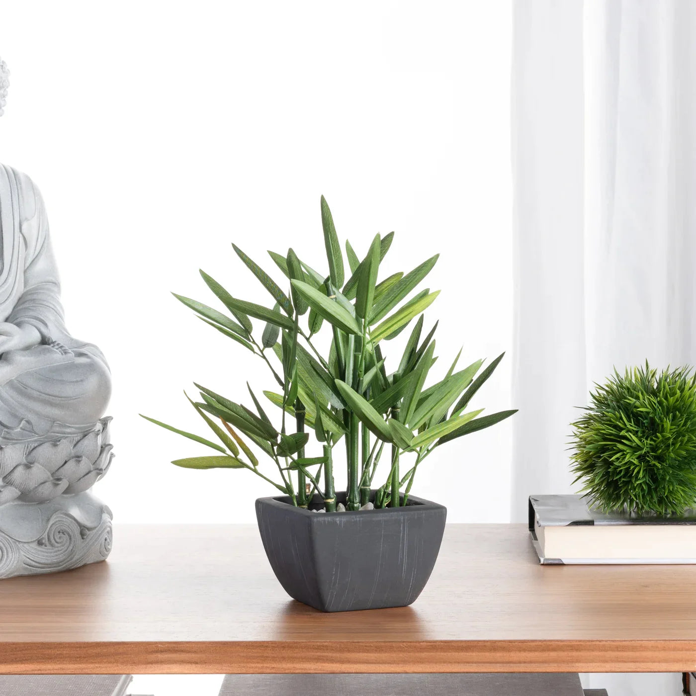 Bamboo 10h