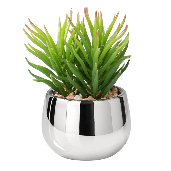Silver Ball Potted Faux Succulent - Spike