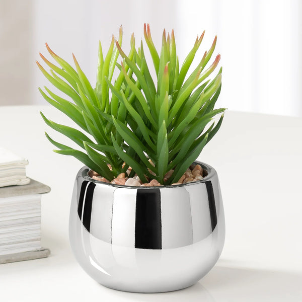 Silver Ball Potted Faux Succulent - Spike