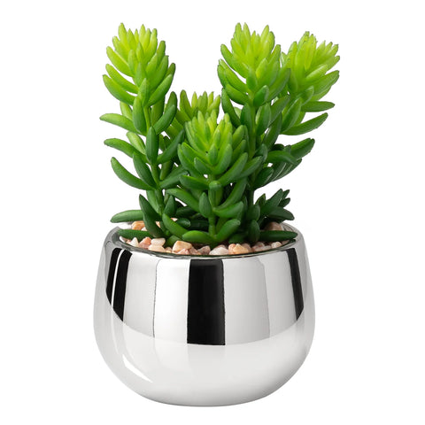 Silver Ball Potted Faux Succulent - Jellybean
