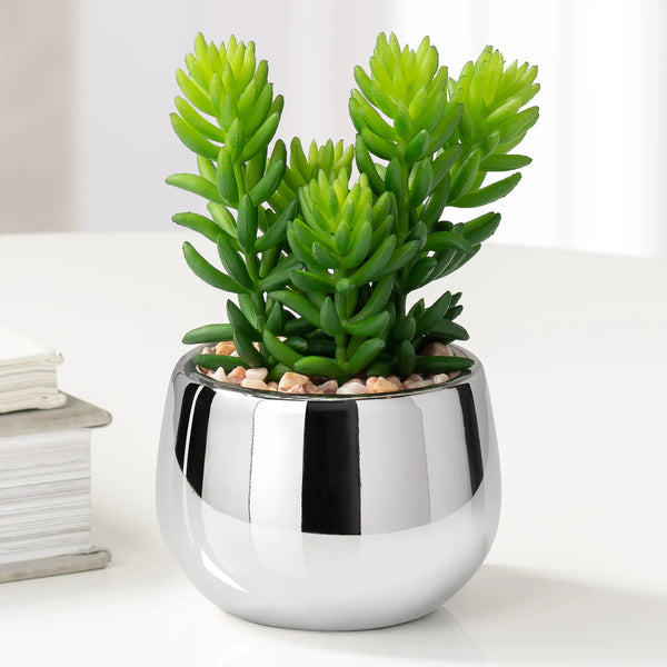 Silver Ball Potted Faux Succulent - Jellybean