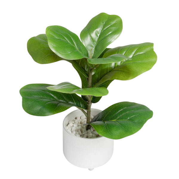 Riviera Ceramic Potted Faux 14h