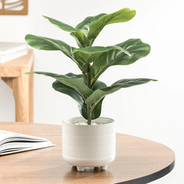 Riviera Ceramic Potted Faux 14h