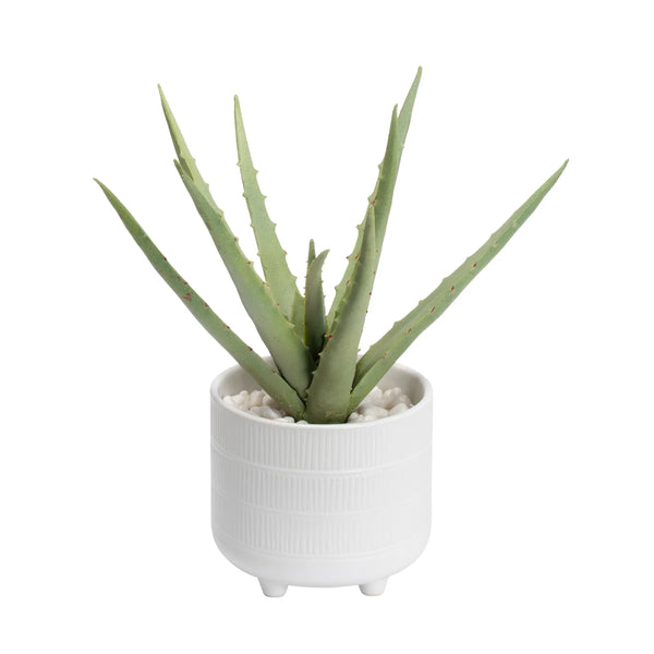 Riviera Ceramic Potted Faux 11h