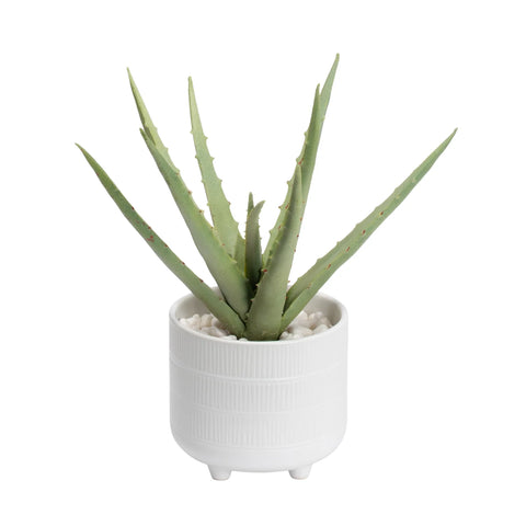 Riviera Ceramic Potted Faux 11h" Aloe Succulent Plant