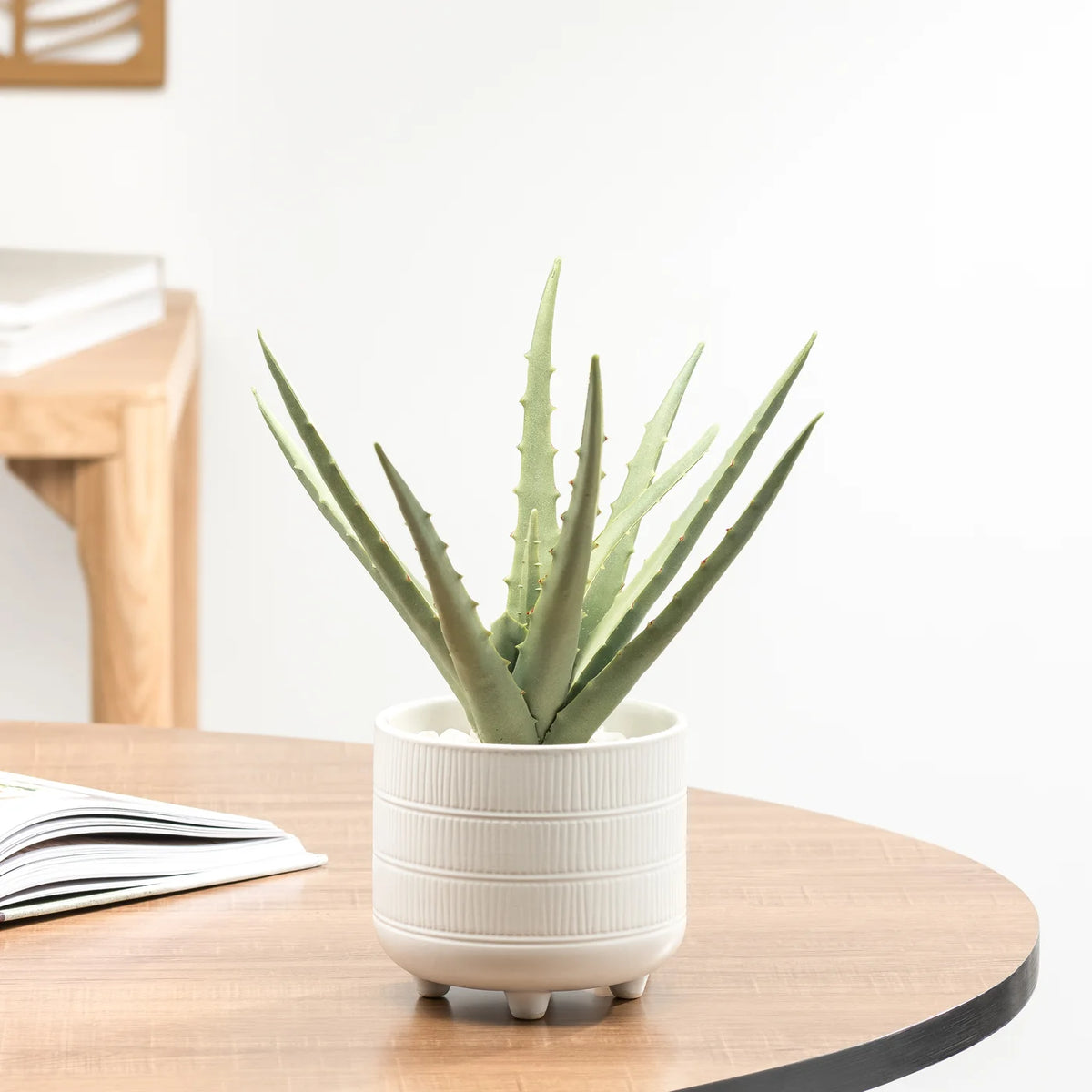Riviera Ceramic Potted Faux 11h