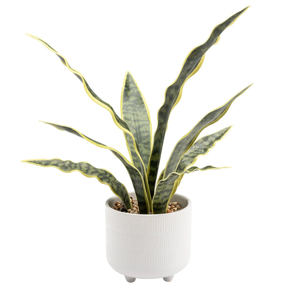 Riviera Ceramic Potted Faux 16h