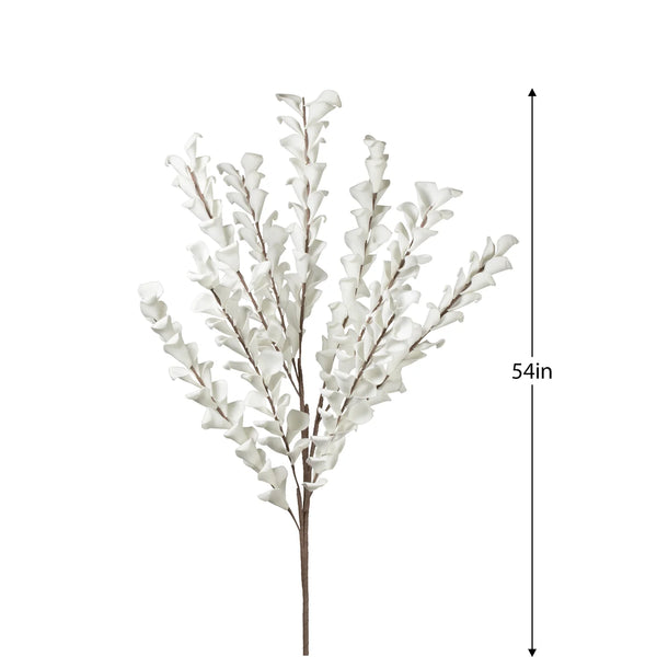 Desert Multi Bloom Eucalyptus 54