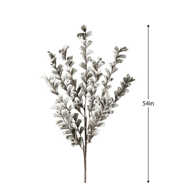 Desert Multi Bloom Eucalyptus 54