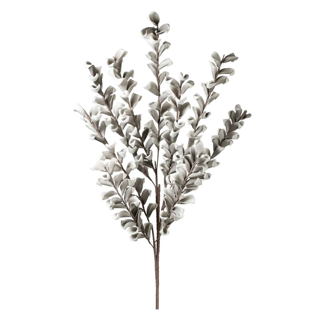 Desert Multi Bloom Eucalyptus 54