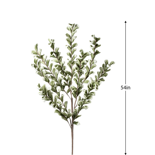 Desert Multi Bloom Eucalyptus 54" Stem - Green
