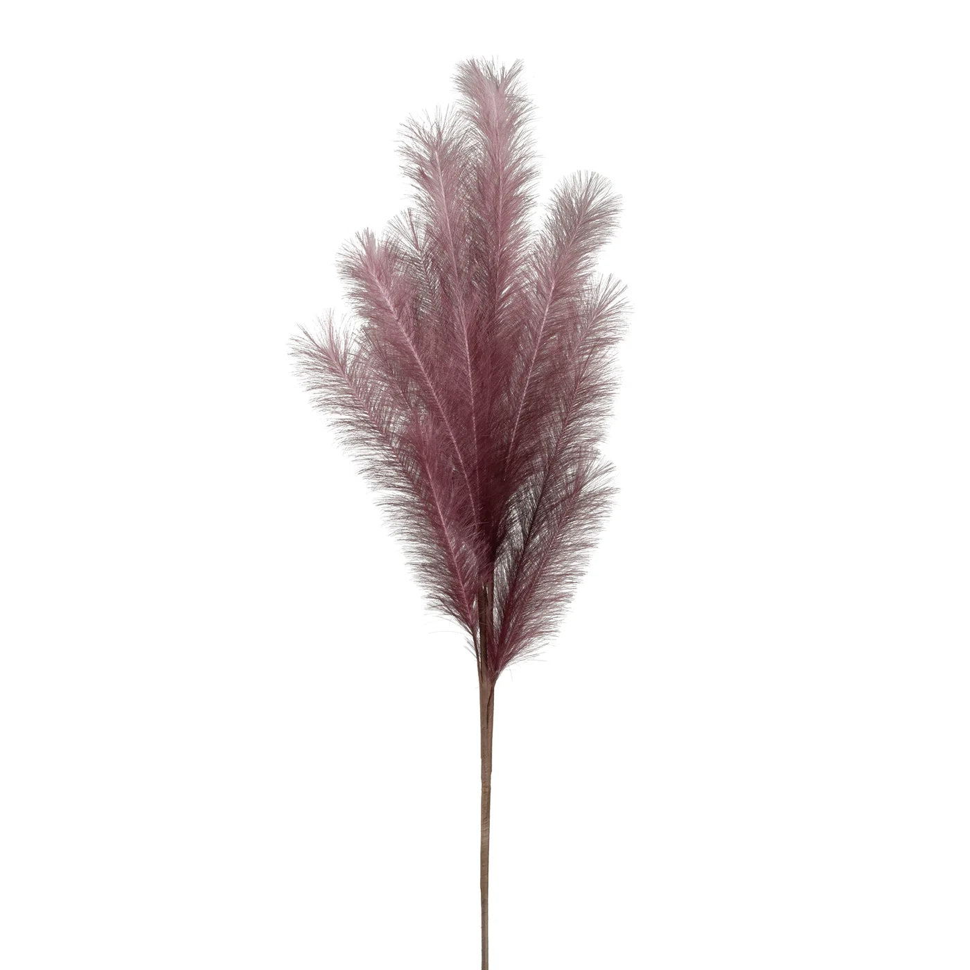 Desert Feather Pampas Stem - Purple
