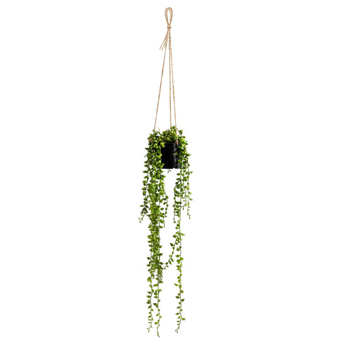 String Of Pearls Succulent Hanging Faux Potted Plant with String Hanger