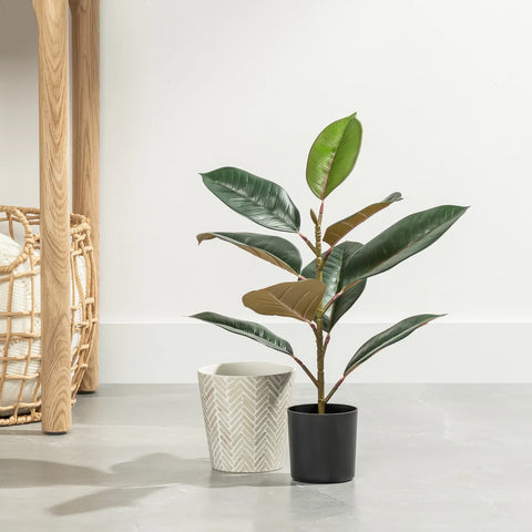 Rubber Tree 21h" Faux Potted Plant