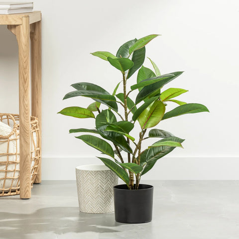 Rubber Tree 29h" Faux Potted Plant