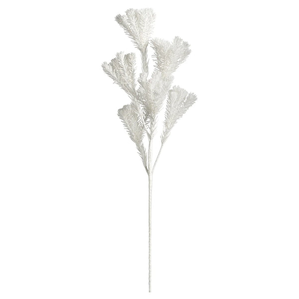 Desert Pine Cluster 40